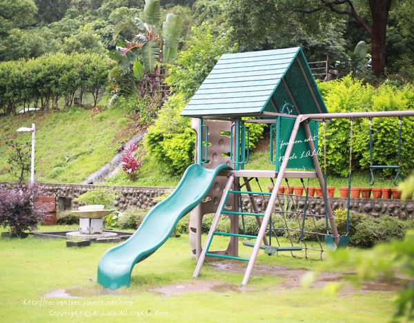 1498828830-3817513147_n.jpg?v=1498828842