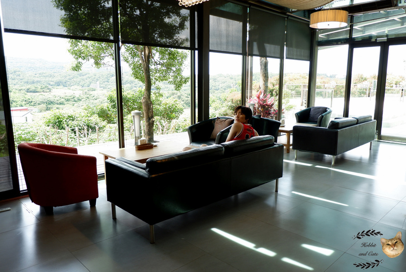 60394-1500061946-2050299123_thumb.jpg?v=1500061973