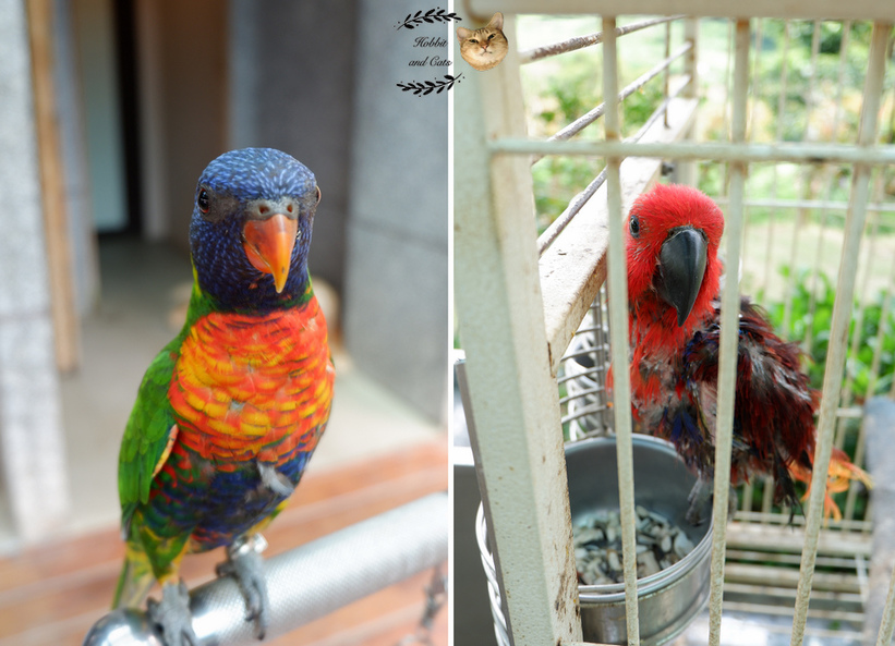 60394-1500061951-1343993680_thumb.jpg?v=1500061973