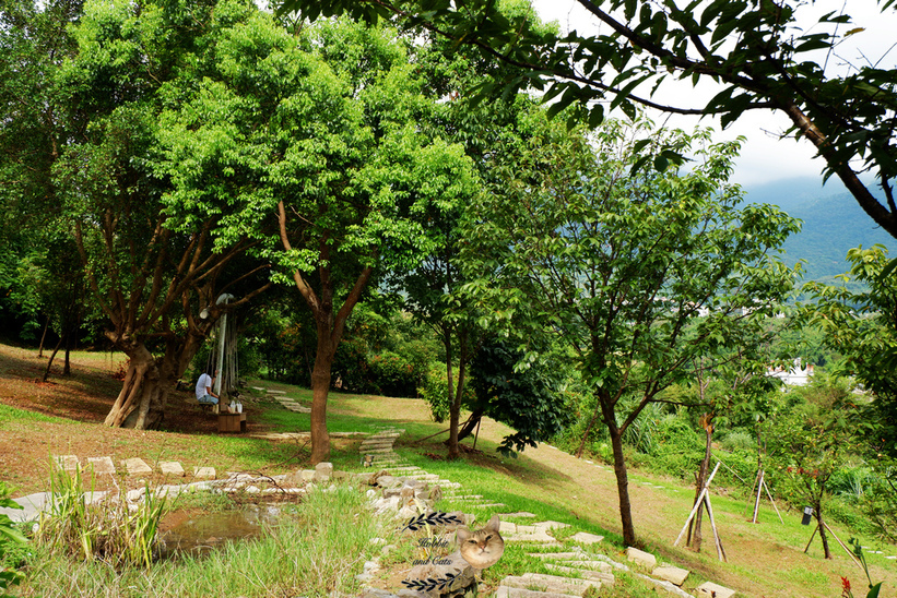 60394-1500061956-2566943162_thumb.jpg?v=1500061973