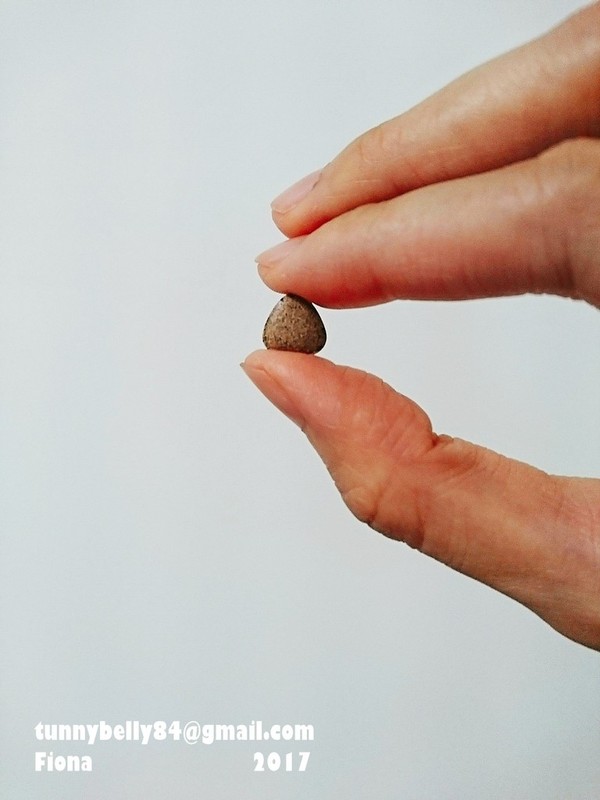 新元商行耀申潤喉飴：【體驗】【新元商行】耀申潤喉飴　順口又好吃