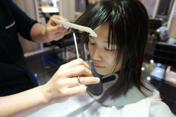 1498578524-2531955166_n.jpg?v=1498578527