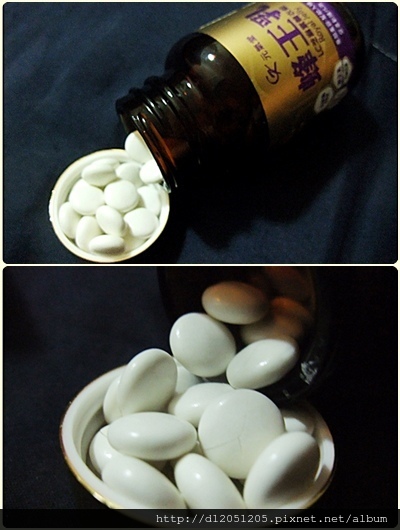 1497098769-392554473.jpg?v=1497098781