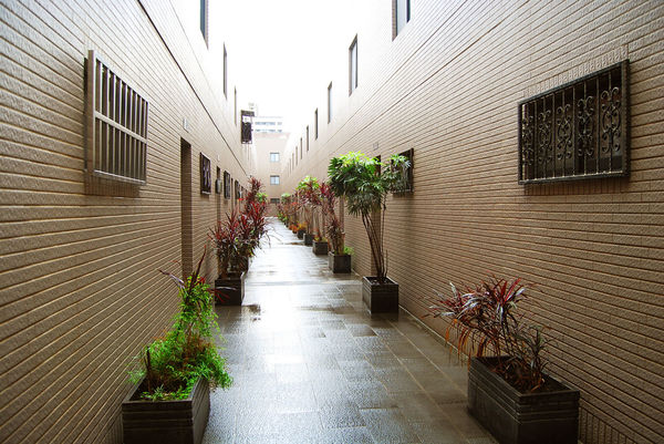 63260-1496577876-4046885865_n.jpg?v=1496577883