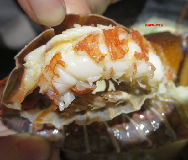 1499088116-708042512_n.jpg?v=1499088142