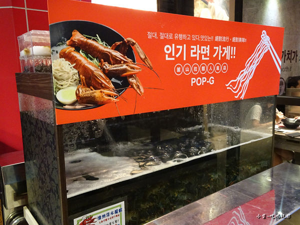 63516-1498897526-3037037899_n.jpg?v=1498897603