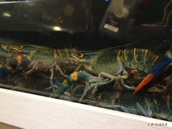 63516-1498897523-1454385831_n.jpg?v=1498897603