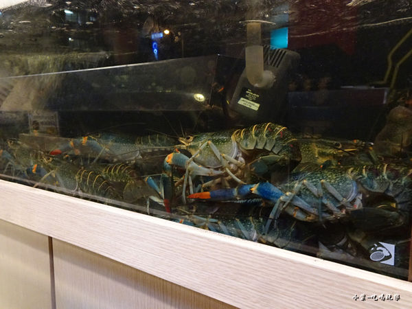 63516-1498897522-1321356377_n.jpg?v=1498897603