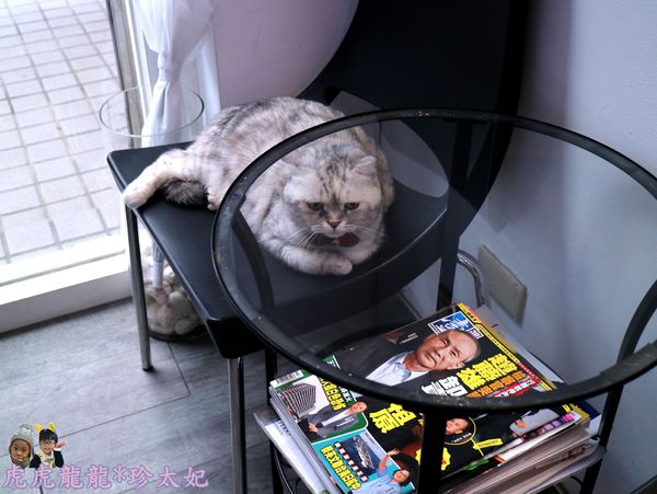 63714-1500278118-3696082466_n.jpg?v=1500278191