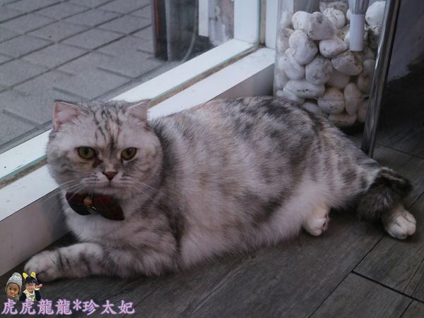 63714-1500278069-4247960932_n.jpg?v=1500278191