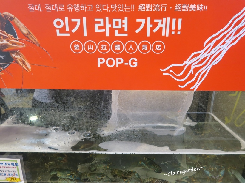 63762-1497614867-104724714_l_thumb.jpg?v=1497764689