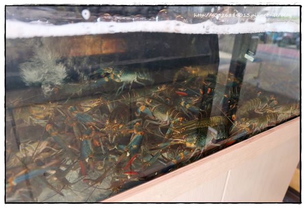 1499261963-3262857744_n.jpg?v=1499261965