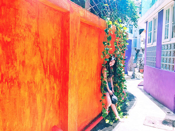 63972-1499156724-1825971757_n.jpg?v=1499156727