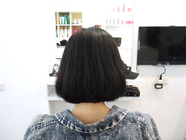 63972-1499097540-1162086668_n.jpg?v=1499097541