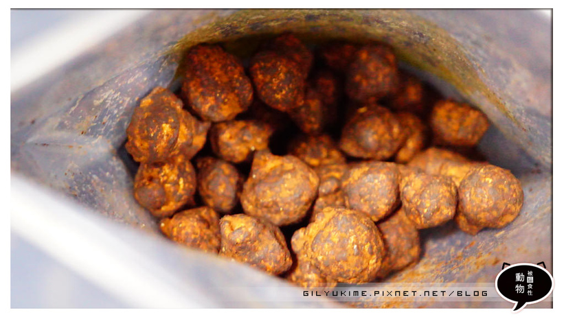 1498934159-1522815790.jpg?v=1498934165