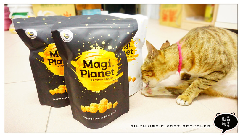 1498932221-1626458481.jpg?v=1498932228