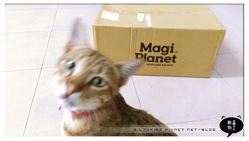 1498931556-862600395.jpg?v=1498931559