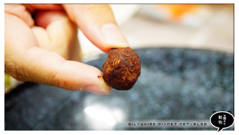 1498934160-45250364.jpg?v=1498934165