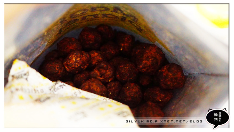 1498934158-936190572.jpg?v=1498934165