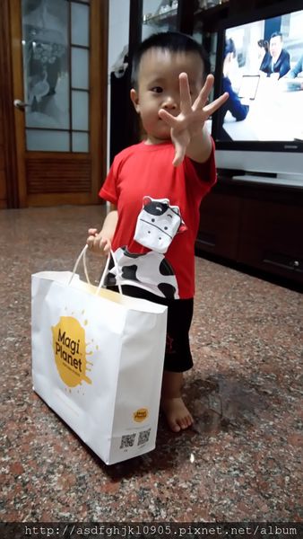 64041-1498750335-3043509039_n.jpg?v=1498750434