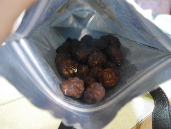 1498788034-1201028351_n.jpg?v=1498788097