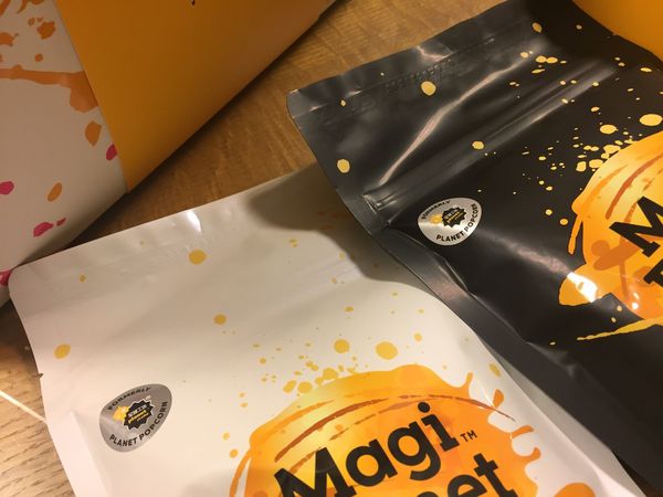 1498802410-2722885903_n.jpg?v=1498802416