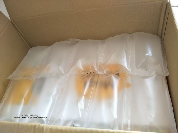 64127-1498634984-4234173832_n.jpg?v=1498635268