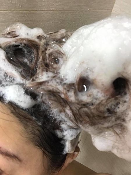 1498848481-2564723161_n.jpg?v=1498856814