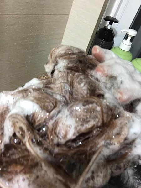 1498848481-4062849918_n.jpg?v=1498856814