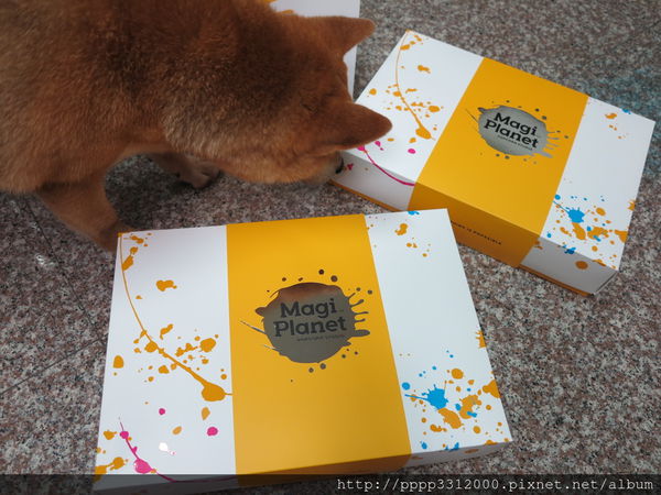 1498476030-2114085888_n.jpg?v=1498478870