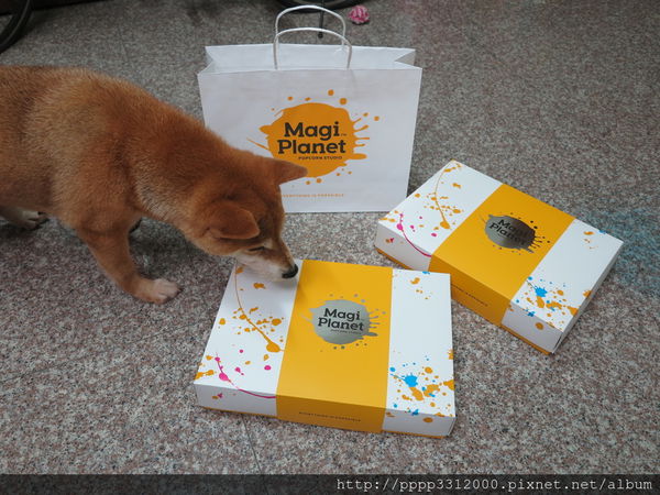 1498476022-4114648887_n.jpg?v=1498478870