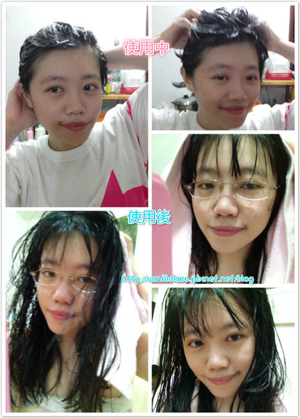 64179-1498296923-436072262_n.jpg?v=1498313247