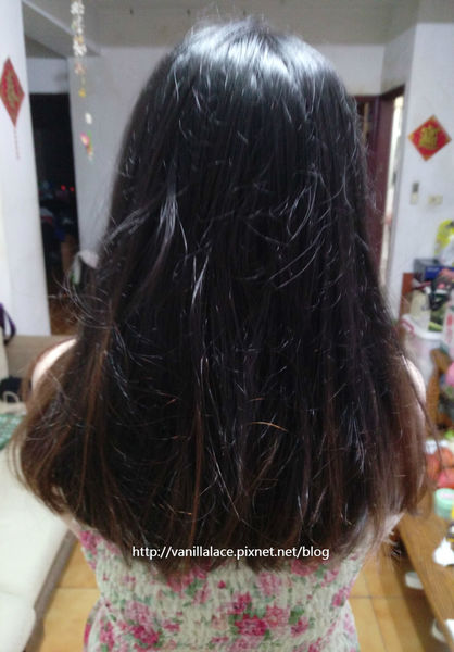 64179-1498296917-1453639362_n.jpg?v=1498313247