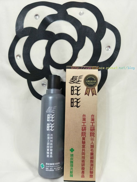 64179-1498315396-1770777827_n.jpg?v=1498315401