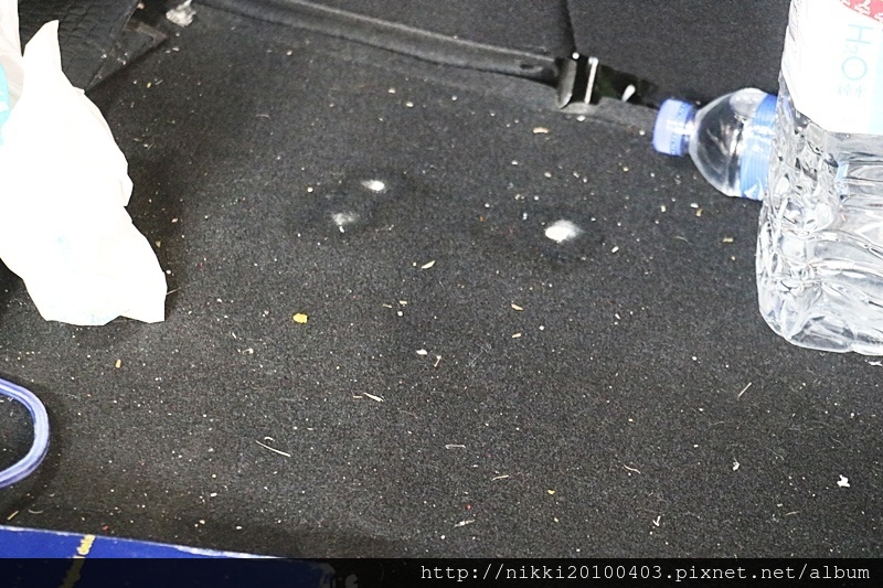 1499345949-2999255979.jpg?v=1499346049