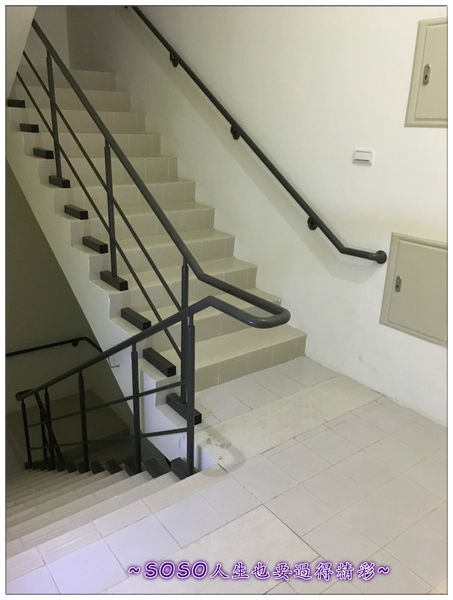 1501962613-2540067841_n.jpg?v=1501962625