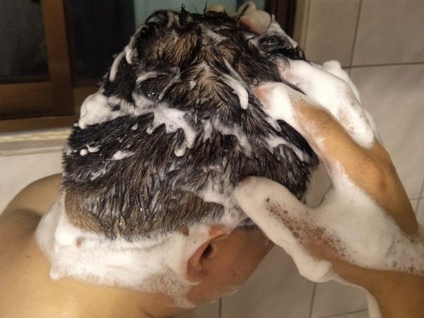 64288-1498538447-151296549_n.jpg?v=1498538449