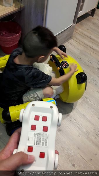 1499008962-183029228_n.jpg?v=1499088810