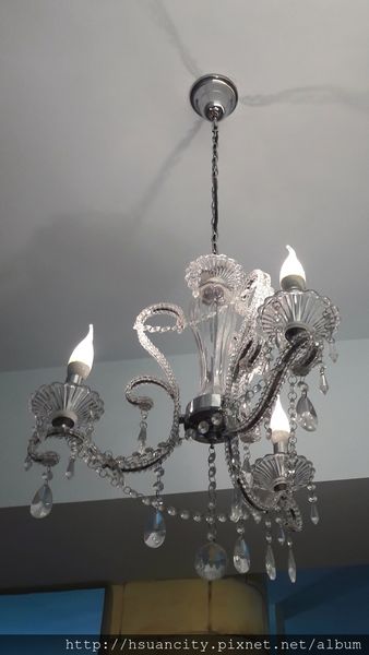 1499008879-289243045_n.jpg?v=1499103332