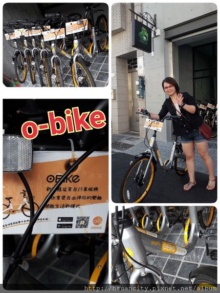 1499008877-2611059985_n.jpg?v=1499103332