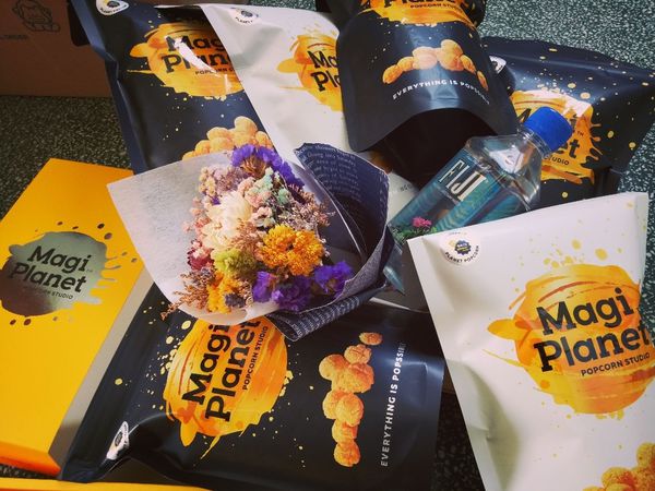 1498653516-4115313304_n.jpg?v=1498653603