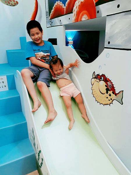 1500859804-625735783_n.jpg?v=1500859805