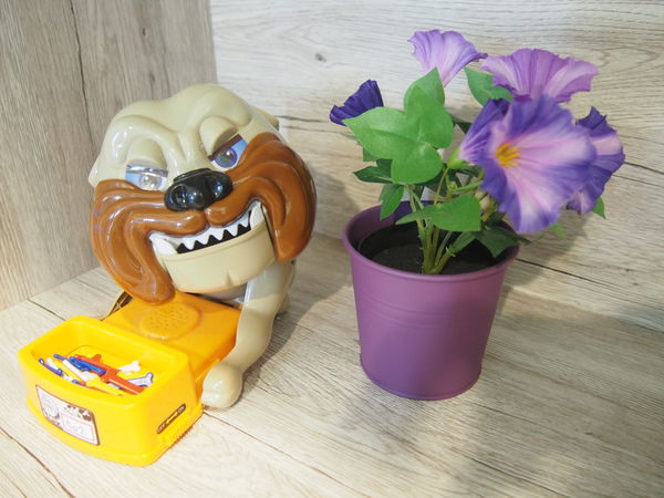 1500859078-3784637275_n.jpg?v=1500859080