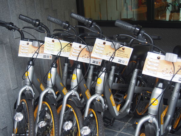 1500905708-4148416892_n.jpg?v=1500905711