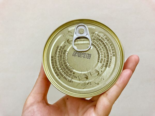 1499223119-1340572100_n.jpg?v=1499223123