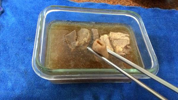 鴻展食品生技股份有限公司：鮮盒子-軒閣食品