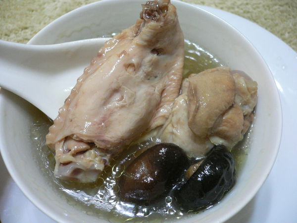 1499263827-257141382_n.jpg?v=1499264218