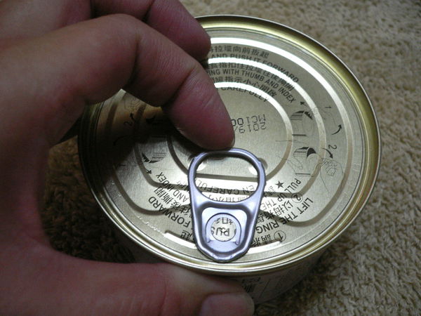 1499263812-2587925903_n.jpg?v=1499264218