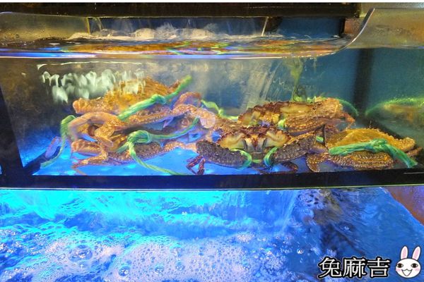 1498657005-594796431_n.jpg?v=1498657049