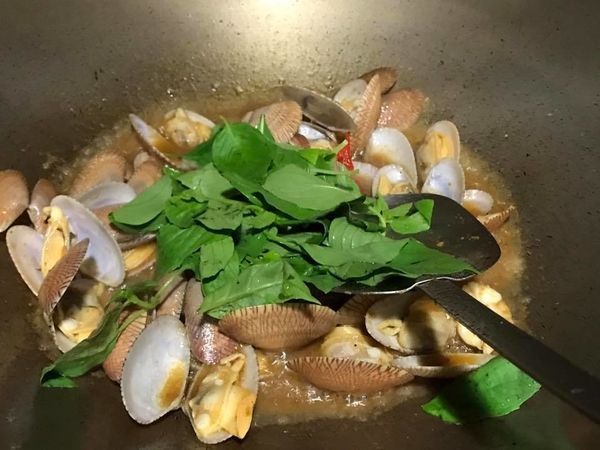 1499270070-543262113_n.jpg?v=1499270072